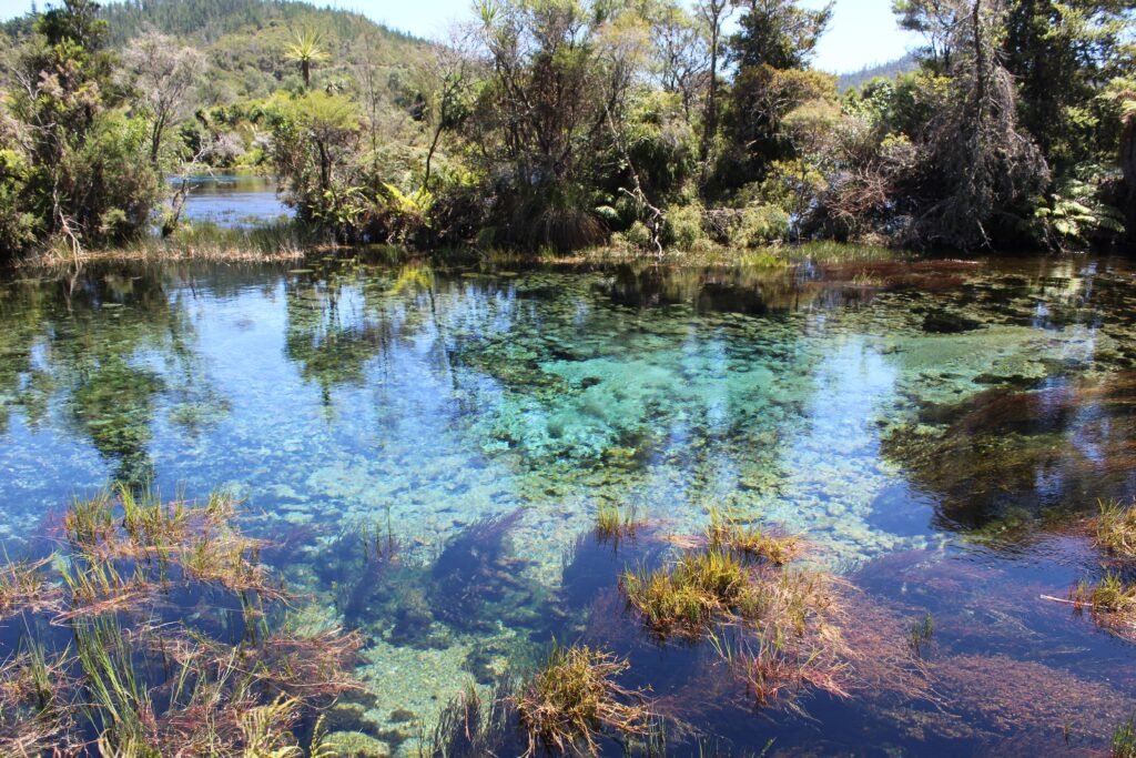 Fonti acqua Nuova Zelanda
