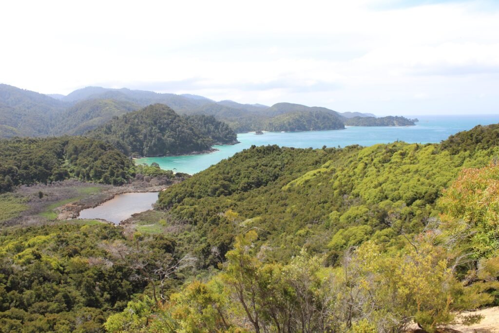 Panorama Nuova Zelanda