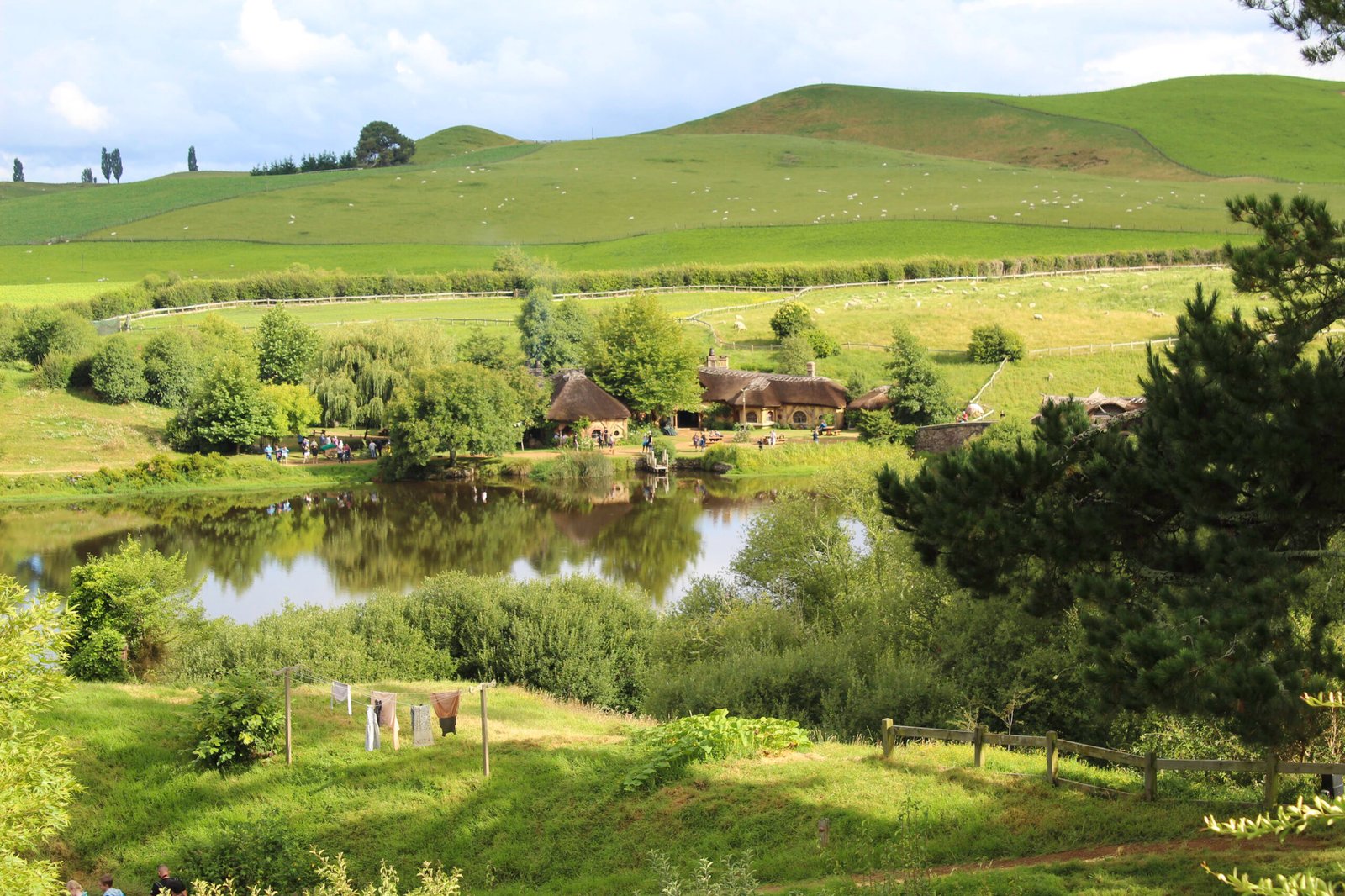 Nuova Zelanda: dall’altra parte del mondo a piangere davanti a un albero