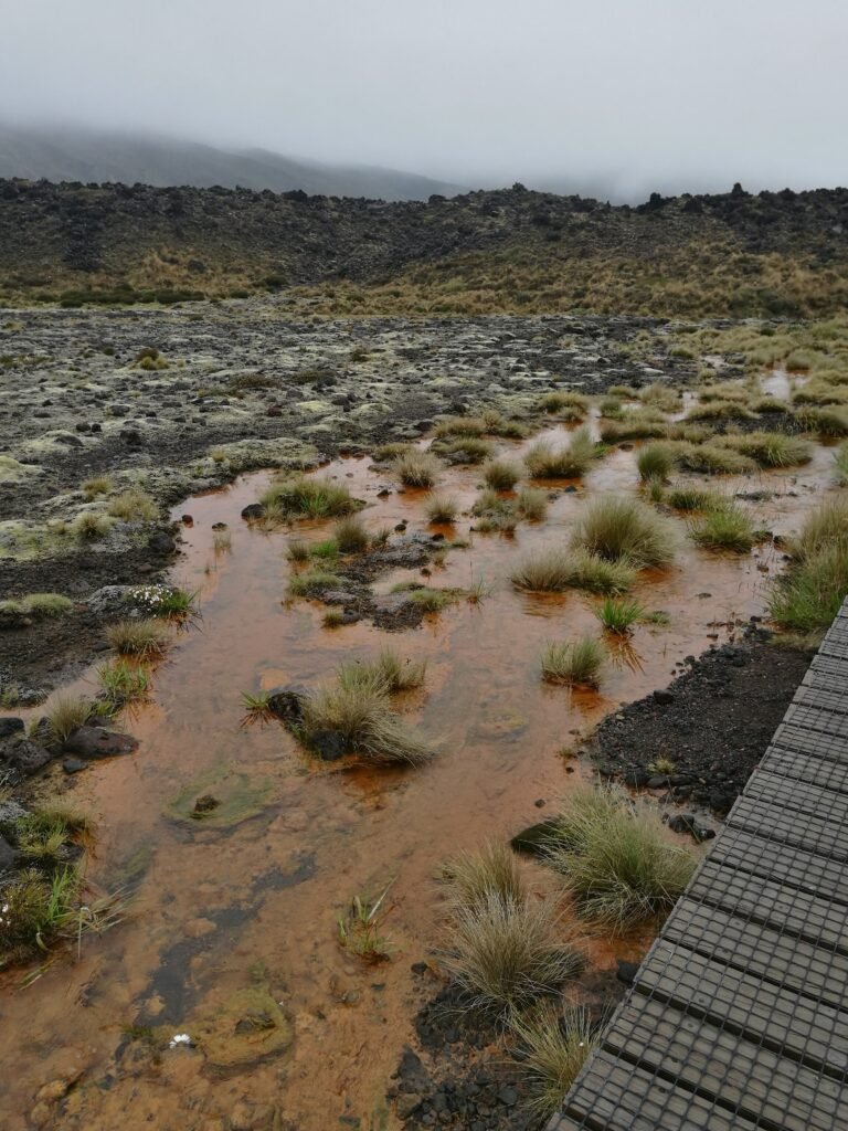 Tongariro Nuova Zelanda