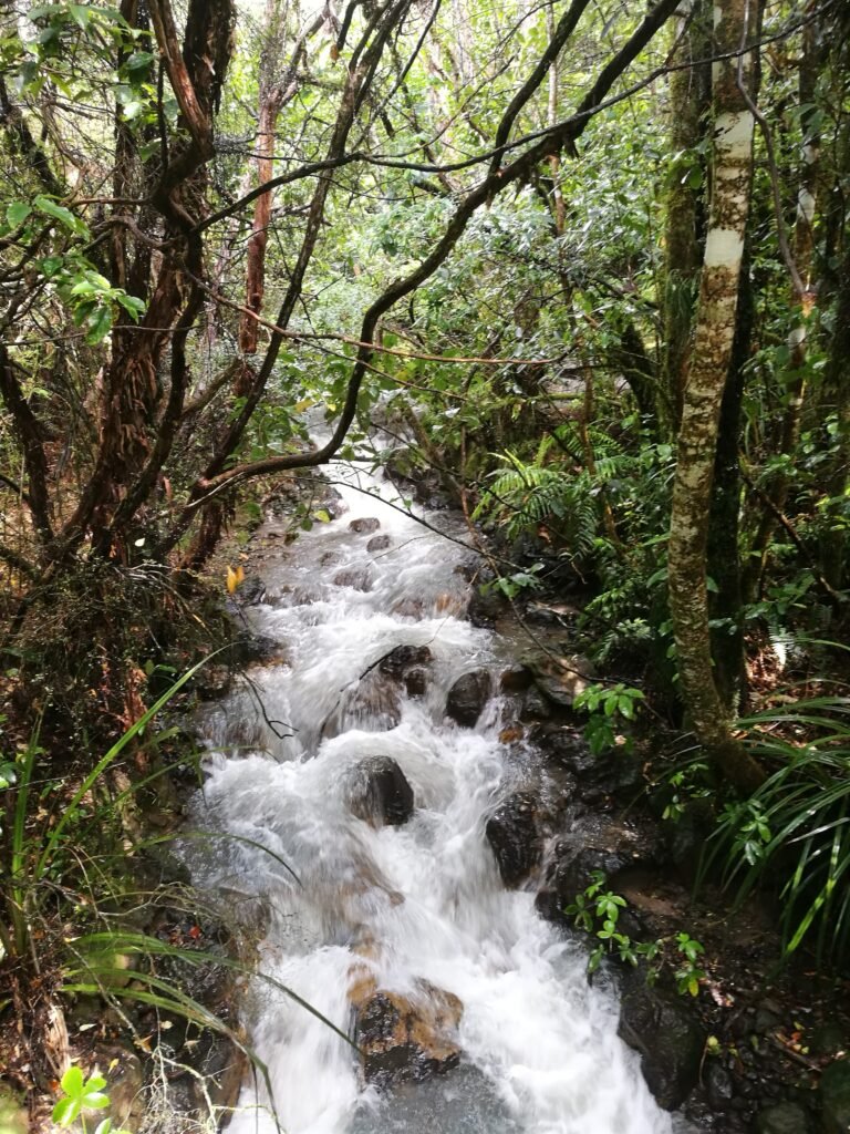 Tongariro Nuova Zelanda