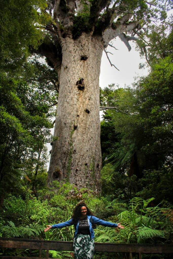 Kauri alberi giganti Nuova Zelanda