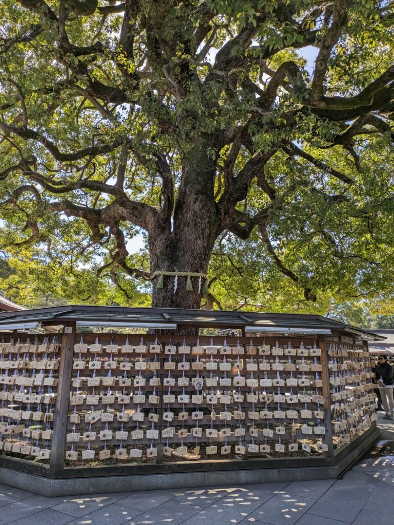 Tempio Meiji Jingu Giappone