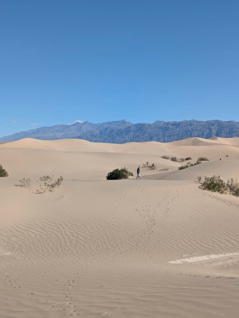 Dune sabbia Death Valley USA