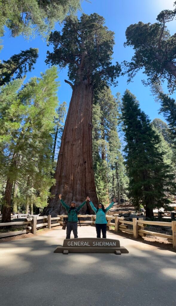 Sequoie USA