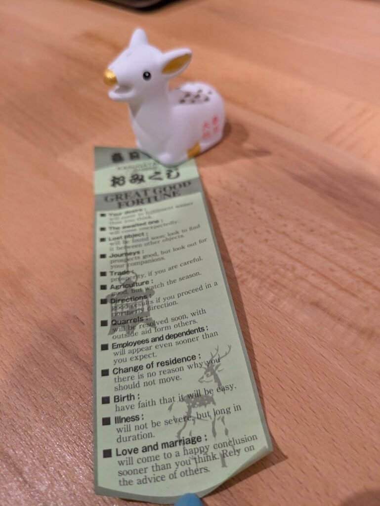 Omikuji trovato prima della proposta