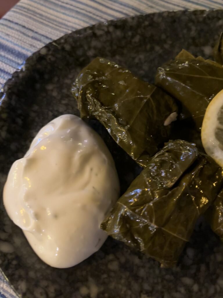 cibo, dolmadakia foglie di vite ripiene santorini e milos